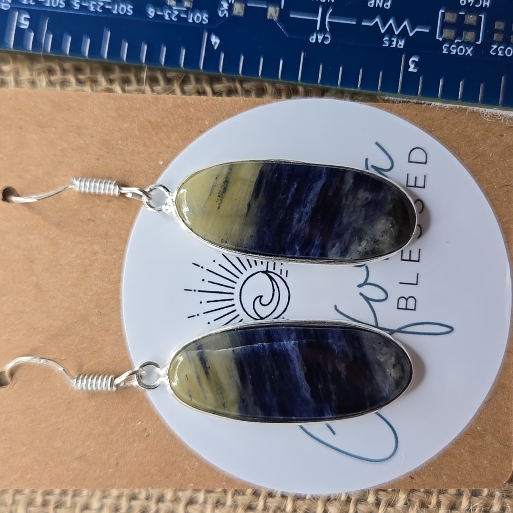 Sodalite Dangle Earrings NWOT #283